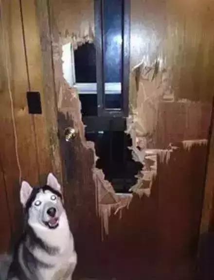 梦见自己身上长异物是吉是凶？2025年运势转折与破解指南