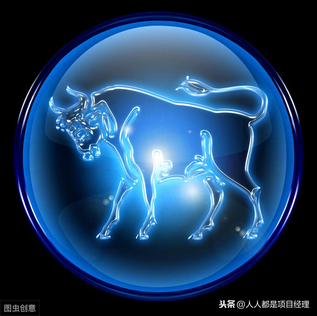 2019年生肖运势真的能帮你避开雷区吗？