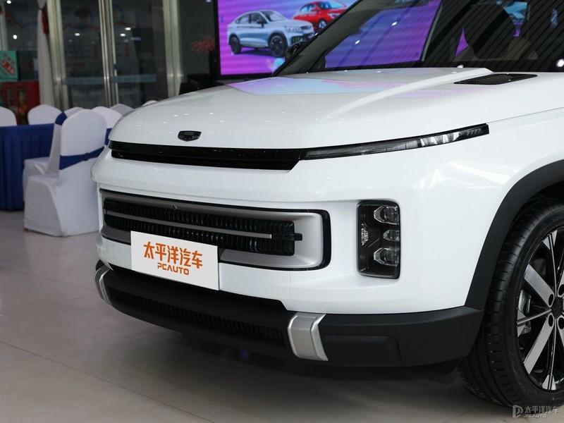 猫咪下巴发黑掉毛是得了传染病吗? 猫咪下巴发黑掉毛是得了传染病吗?