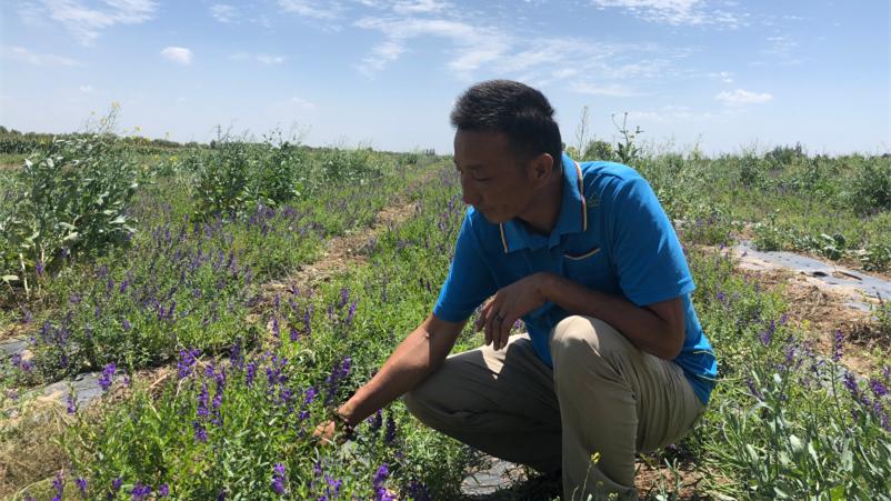 为什么说科斯切尔尼是英超最被低估的后卫？