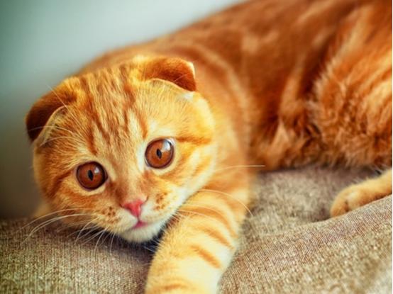 Jenis Mesin Slot yang Menarik di RWS Singapura: Klasik dan Lebih Banyak