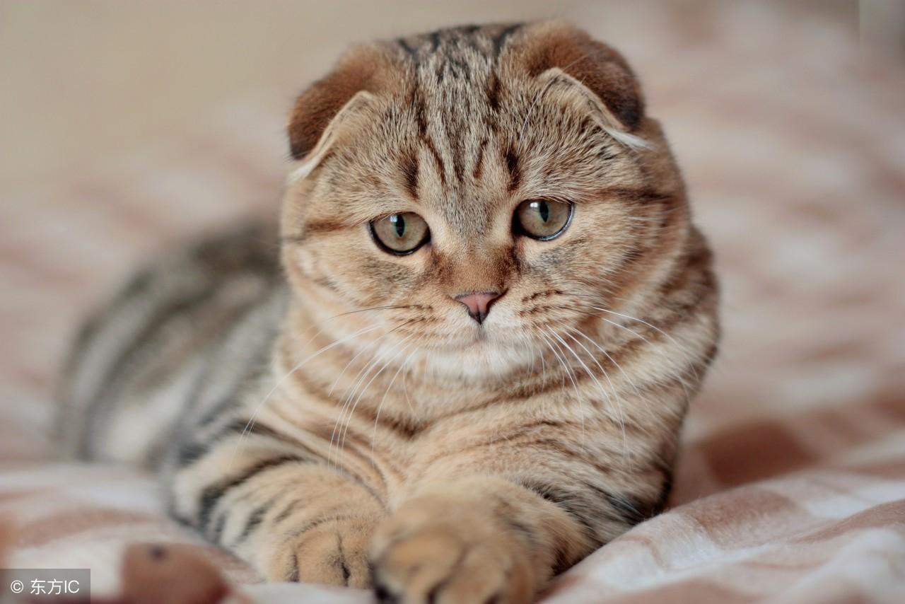 马自达3星骋现在到底值多少钱？