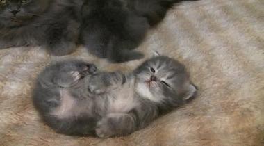 免费算命网站真能算准你的命运吗？