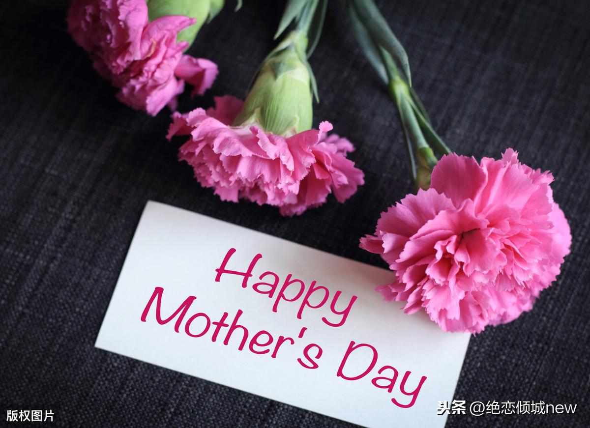 流浪猫突然闯进家门，是福还是祸？