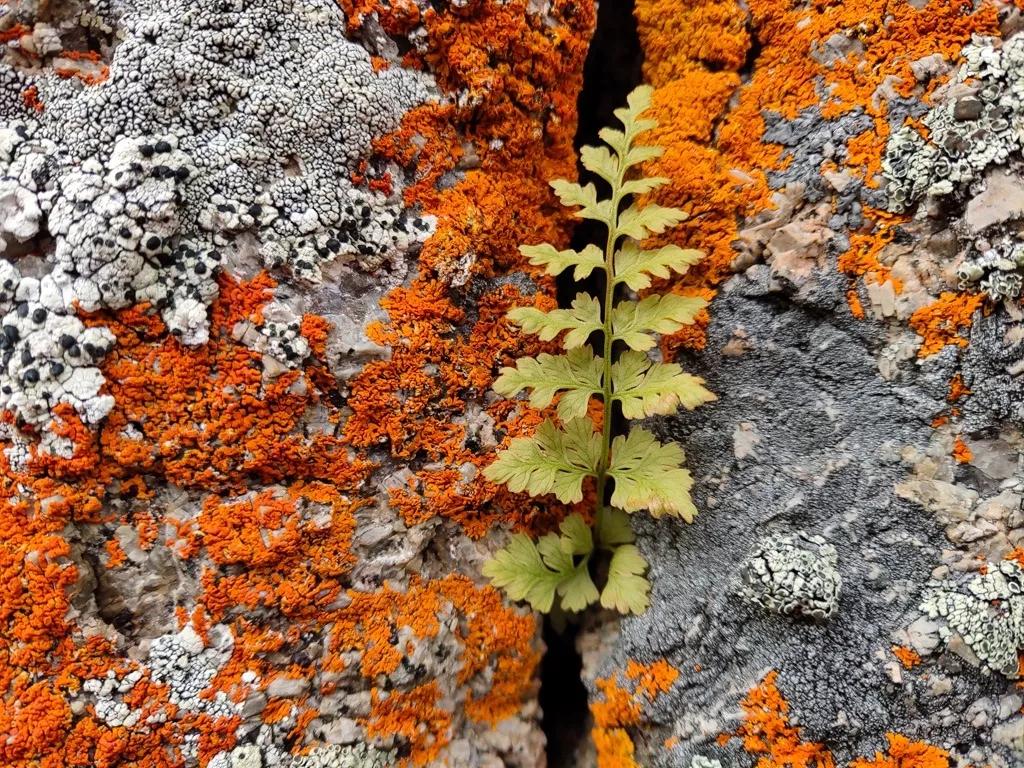 怎么样开网店，开网店有哪些流程！