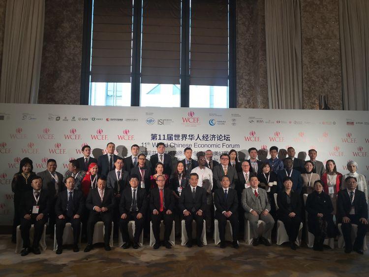 在福州想养猫却怕踩坑？这篇领养避雷指南必须收藏！