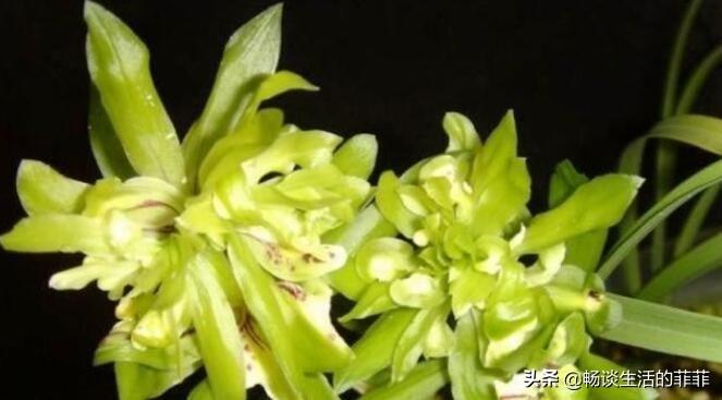 梦见皮肤变黑预示什么?周公解梦与心理玄机全解析 梦见皮肤变黑预示什么?周公解梦与心理玄机全解析