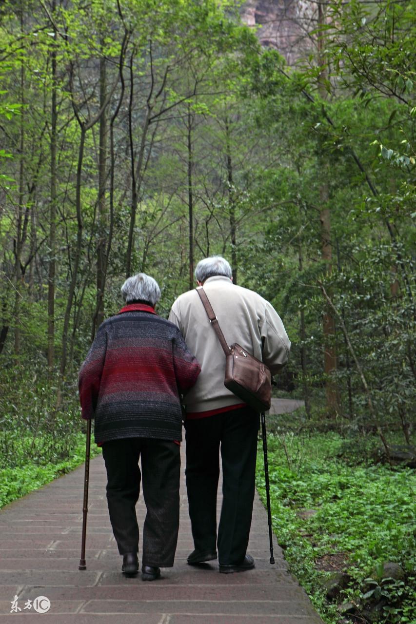 为什么你的萌宠视频总在猫咪视频A上扑街? 为什么你的萌宠视频总在猫咪视频A上扑街?