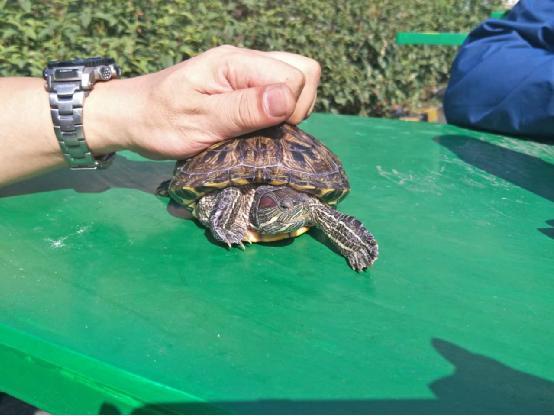 Mengenal Harga Parfum Maison Francis Kurkdjian: Faktor - Faktor yang Mempengaruhi