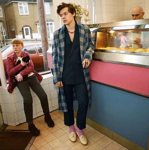 为什么我家猫咪总吃不胖？