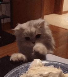 你家主子真的恨你吗？