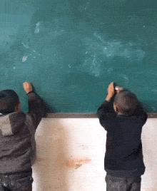 怀孕猫咪突然饭量翻倍？这份喂食指南新手必看！