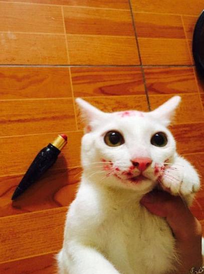 二手奥迪TT值得买吗？新手必看的避坑指南