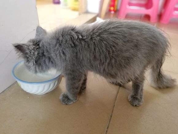 雪佛兰景程:预算有限如何选家用车?实测省3万油费避坑指南 雪佛兰景程:预算有限如何选家用车?实测省3万油费避坑指南