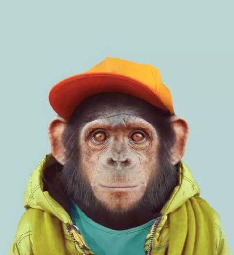 金牛座真的是最固执的星座吗？