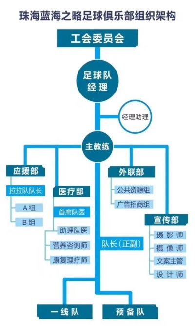 国际足联内部各管理机构职能解读，了解足球管理核心
