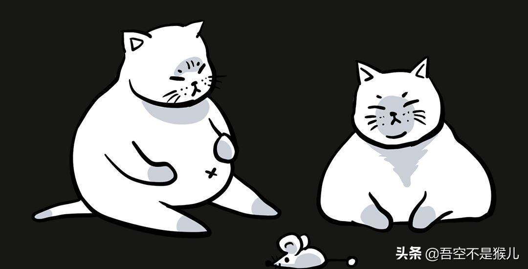 你家主子喝水总甩爪子怎么办？