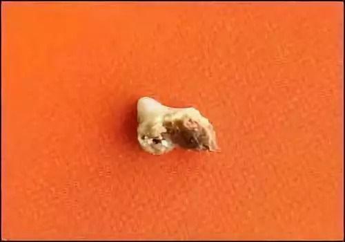 景逸购车避坑指南：省2万购车预算的三大隐藏技巧