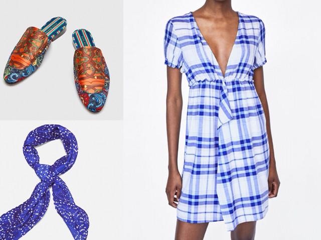 蓝白猫真的适合新手养吗？