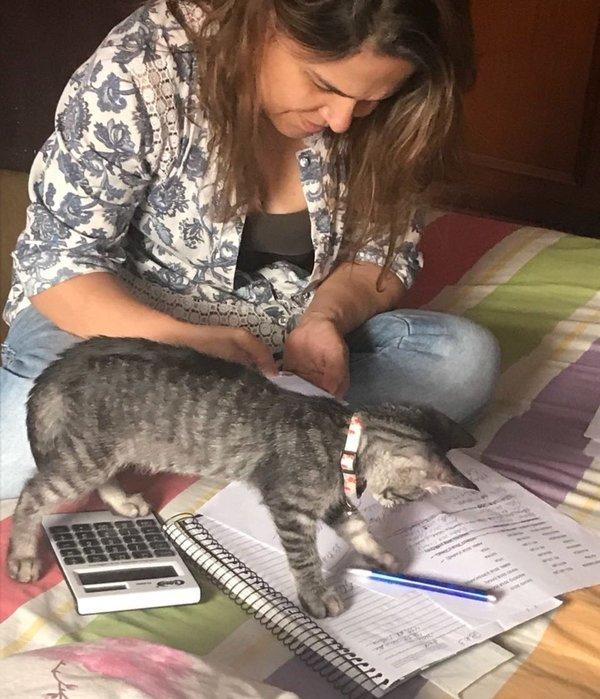 怀孕必须送走猫咪？真相让你大吃一惊！