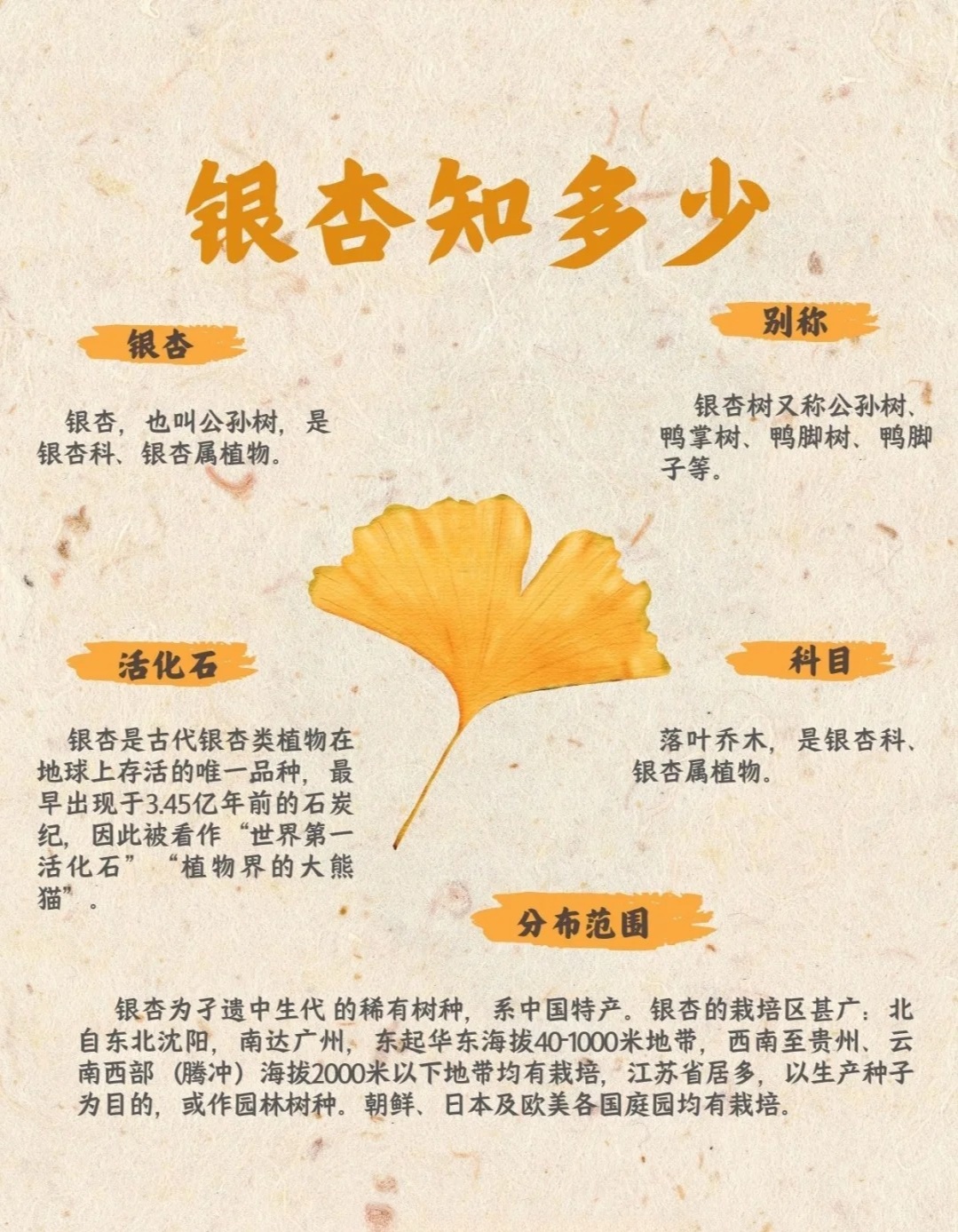 银根是什么意思？小白必看的详细解读，包含其作用和当前状况