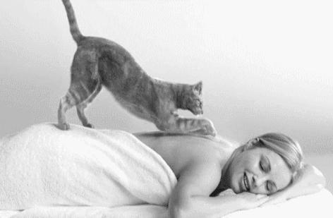 想用毛笔画出萌翻人的小猫咪？这5个坑千万别踩！