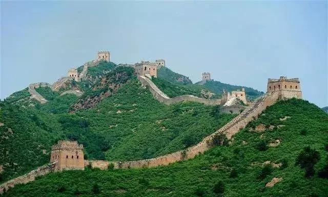 你家猫主子偷吃葡萄会出事吗？