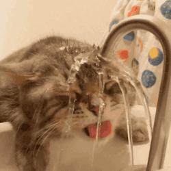 TFTKOPApp无法提现怎么办-网上做单平台被骗充值提现不了如何追回 