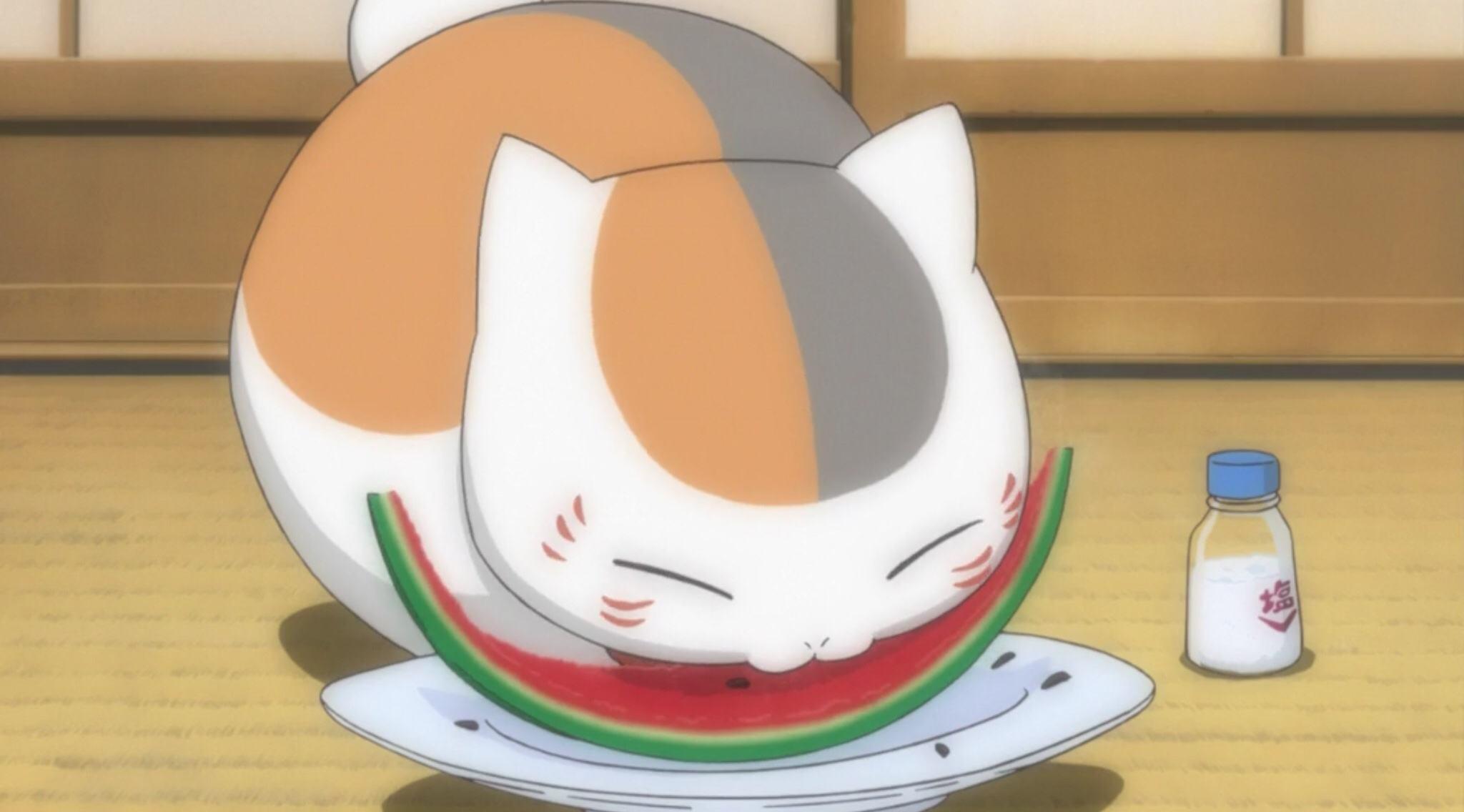 新手第一次打开猫咪动漫app该点哪里? 新手第一次打开猫咪动漫app该点哪里?