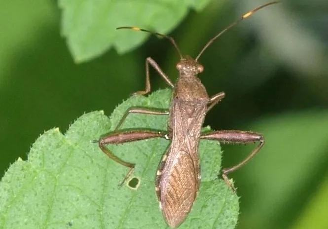 在大田广域市混华人论坛能少走多少弯路? 在大田广域市混华人论坛能少走多少弯路?