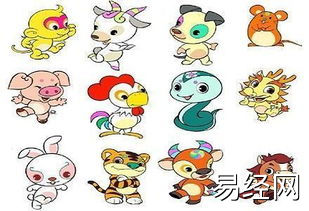 生肖智慧排行_玄学最厉害三个属相是什么_十二生肖最凶猛排行