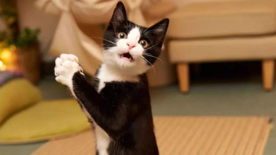 2025年梦见新娘出嫁全解：财富密码与情感破局术