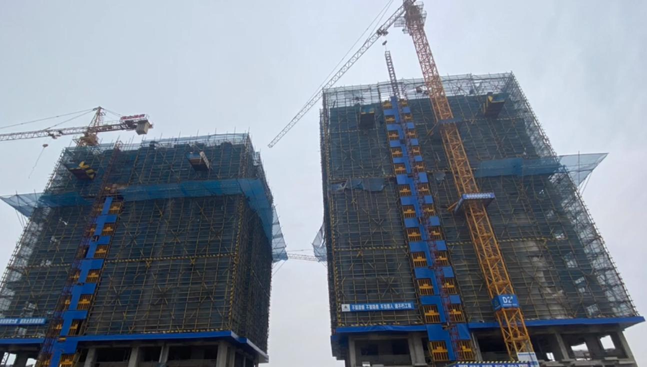 在福州想养猫却怕踩坑？这篇领养避雷指南必须收藏！