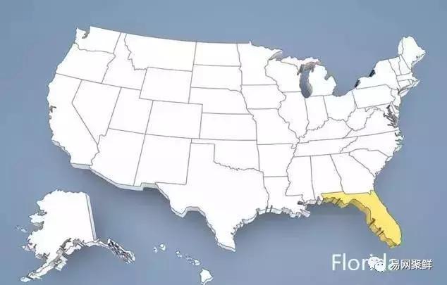 在美国，华人主要集中在东、西两岸的几个州，其中西岸的加州与东岸的