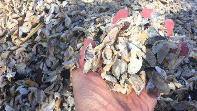 算命到底准不准?新手必看避坑指南 算命到底准不准?新手必看避坑指南