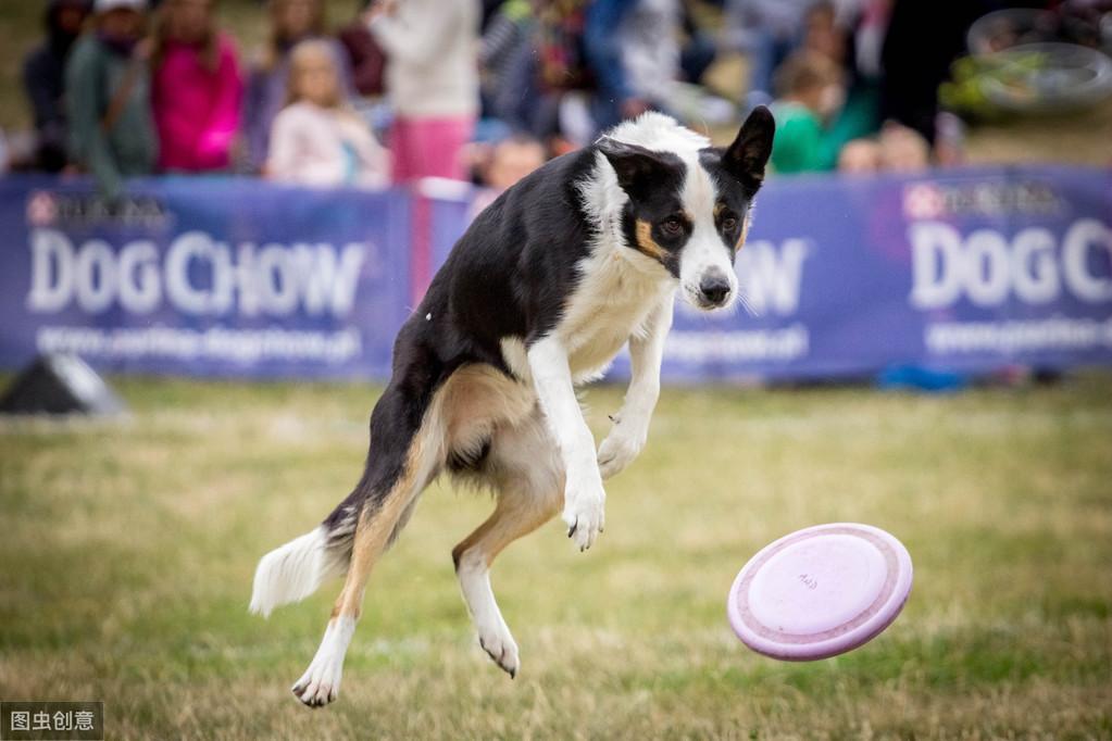 如何避免购车多花2万元？浪迪图全流程避坑指南
