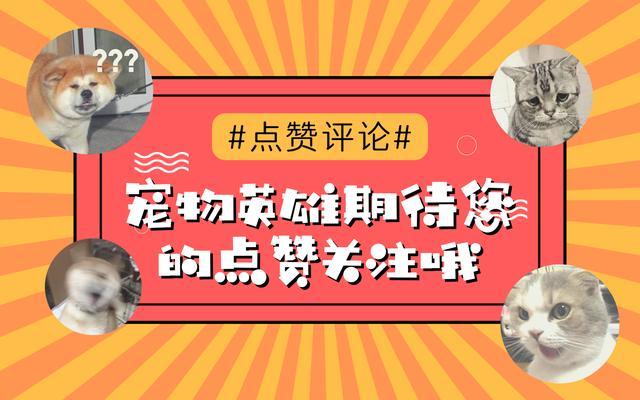 波茨坦华人论坛到底怎么用?新人避坑指南来了! 波茨坦华人论坛到底怎么用?新人避坑指南来了!