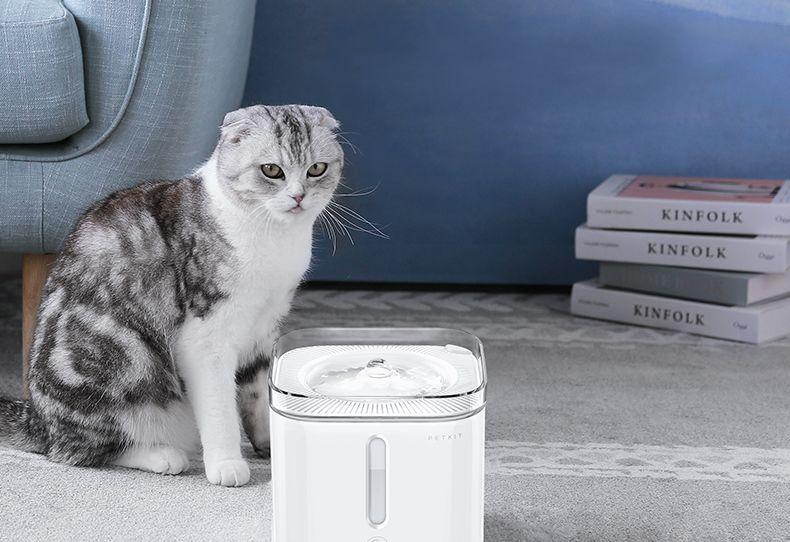 你家猫主子突然咬你手是几个意思？