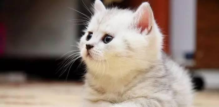 2003年的游戏现在还有人玩吗？