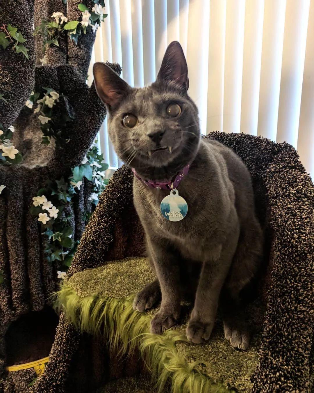 生辰八字排盘到底准不准？新手必看的命理避坑指南