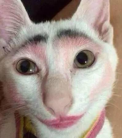 到2050年,中国还有多少人?联合国给出预测,结果出乎预料 到2050年,中国还有多少人?联合国给出预测,结果出乎预料