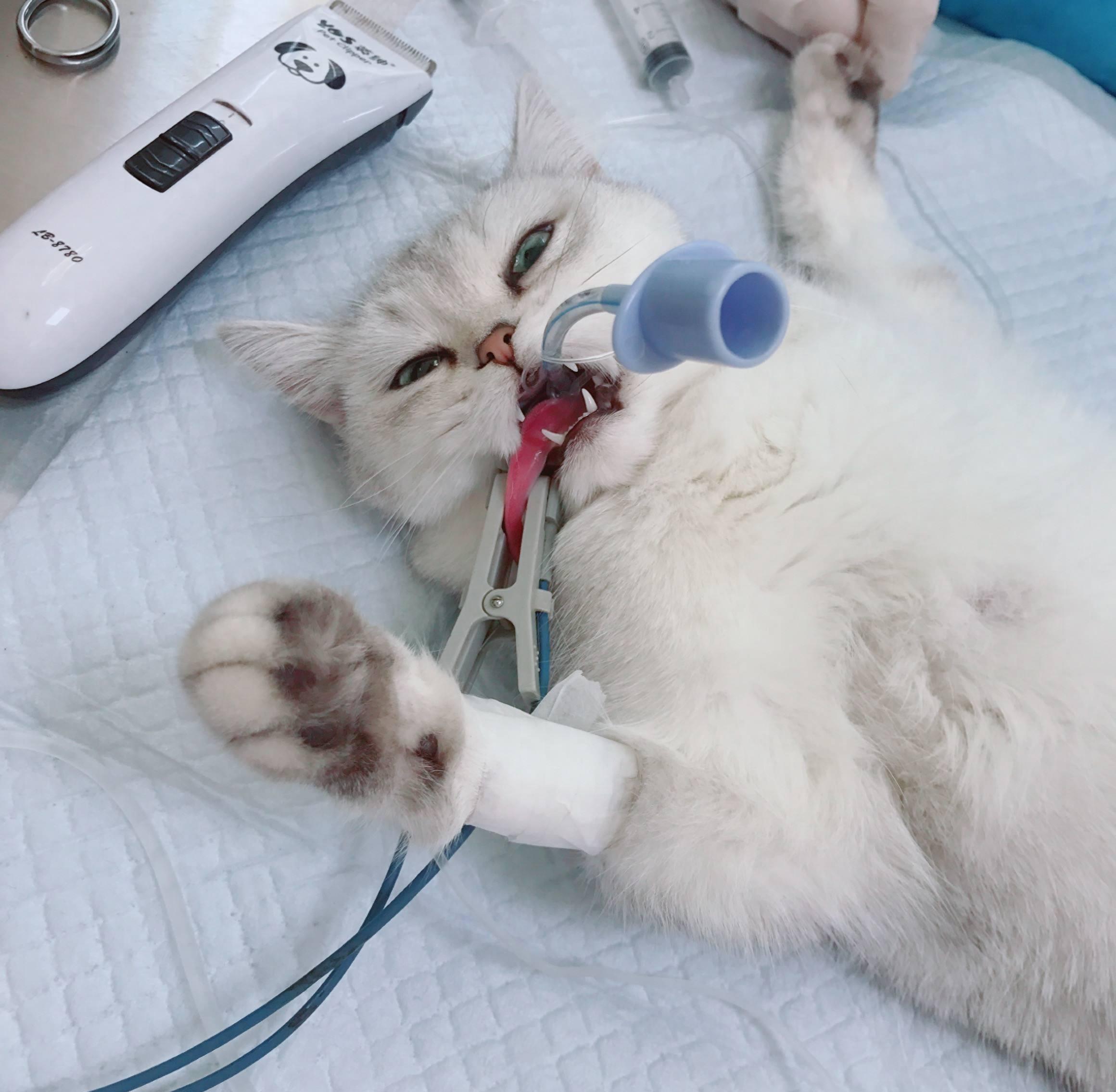 错过皇马巴萨超级杯直播怎么补课？