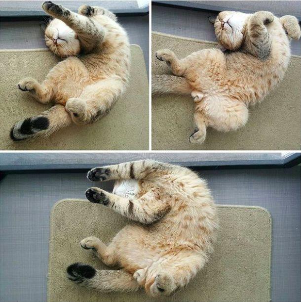 梦见指甲变长预示什么？2025年运势破解3步法