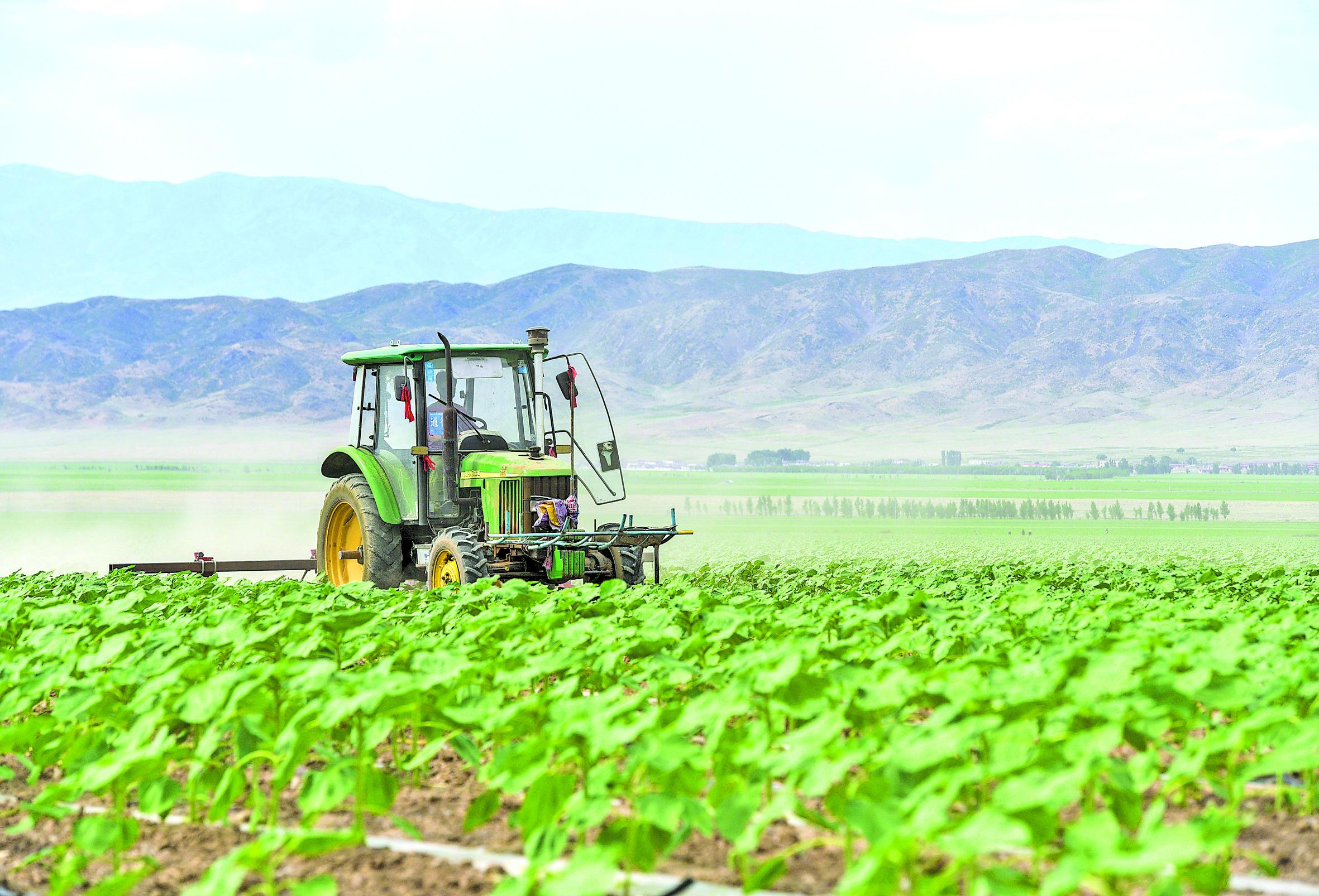 2023年1月到底哪天才是办大事的好日子？