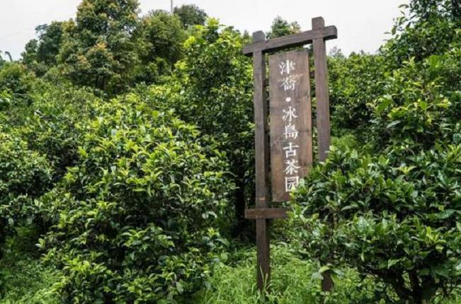 在冰岛找不到同胞帮忙怎么办？