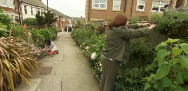 新手如何在猫咪社区3.0.1官网快速上手？