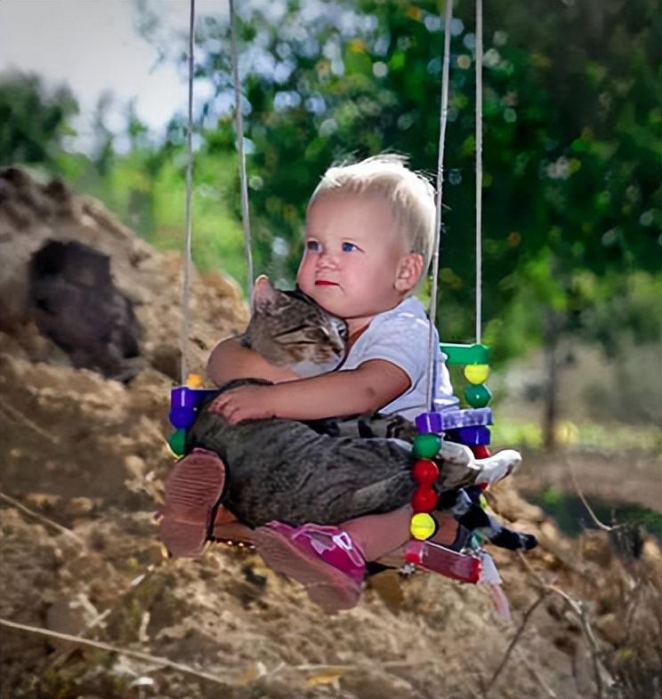 猫咪对着地板干呕是在表演杂技吗？