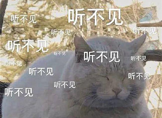 你家猫主子真的会唱歌吗？