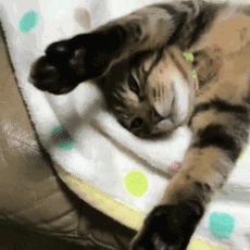 菲亚特派力奥1.5值不值得买？油耗高动力弱怎么破 省3000元维修费全解析