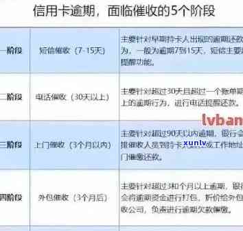 新手用信用卡怎么还款才不会逾期？这些费用和信用问题你可得注意了！